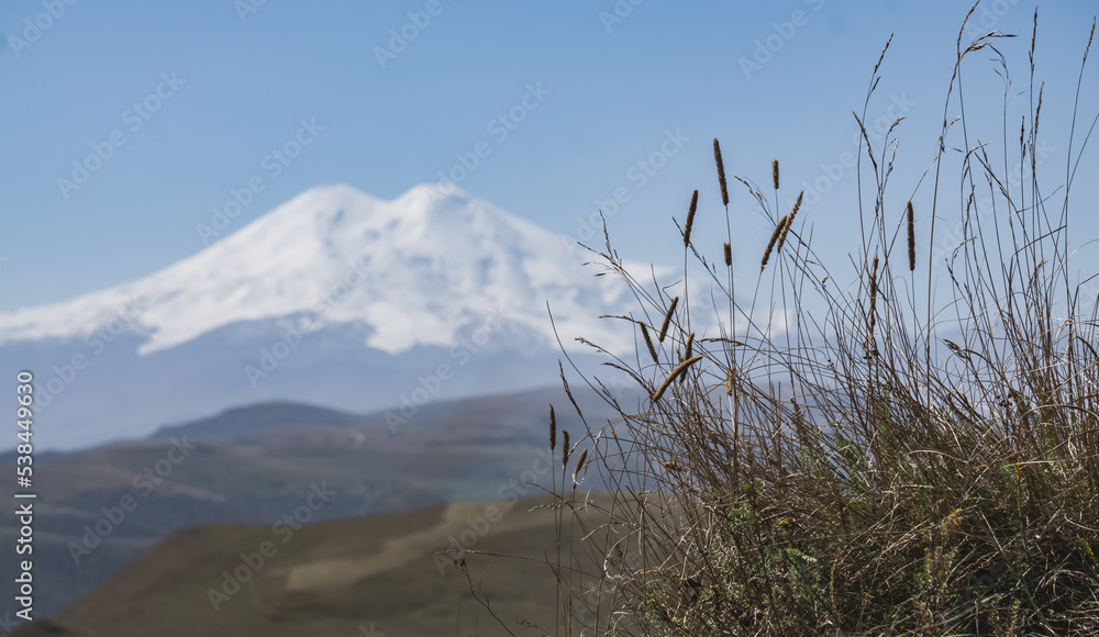 Grass in the mountains in a macro panoramic view against the background of a blurred mountain landscape and Mount Elbrus, on a sunny day in autumn