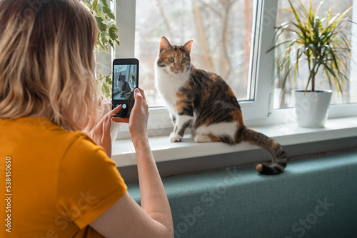Young woman sitting on sofa taking photo of cat on window sill.