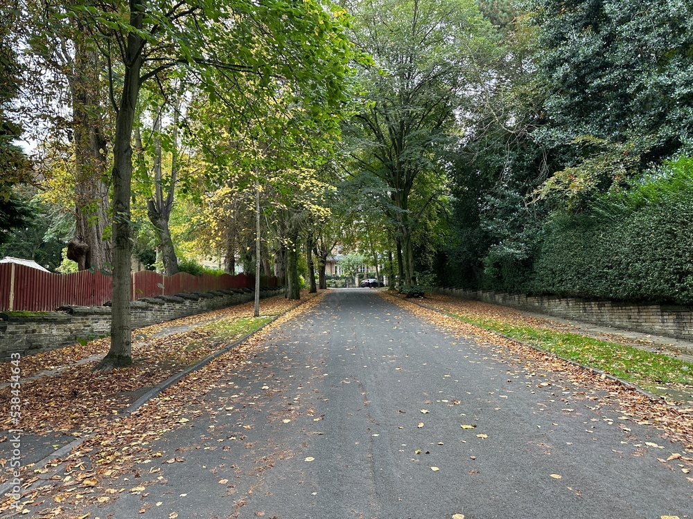 Ashburnham Grove, with old trees, fallen leaves, and Victorian houses, on a cloudy autumn day in, Bradford, UK Ashburnham Grove, with old trees, fallen leaves, and Victorian houses, on a cloudy autumn day in, Bradford, UK