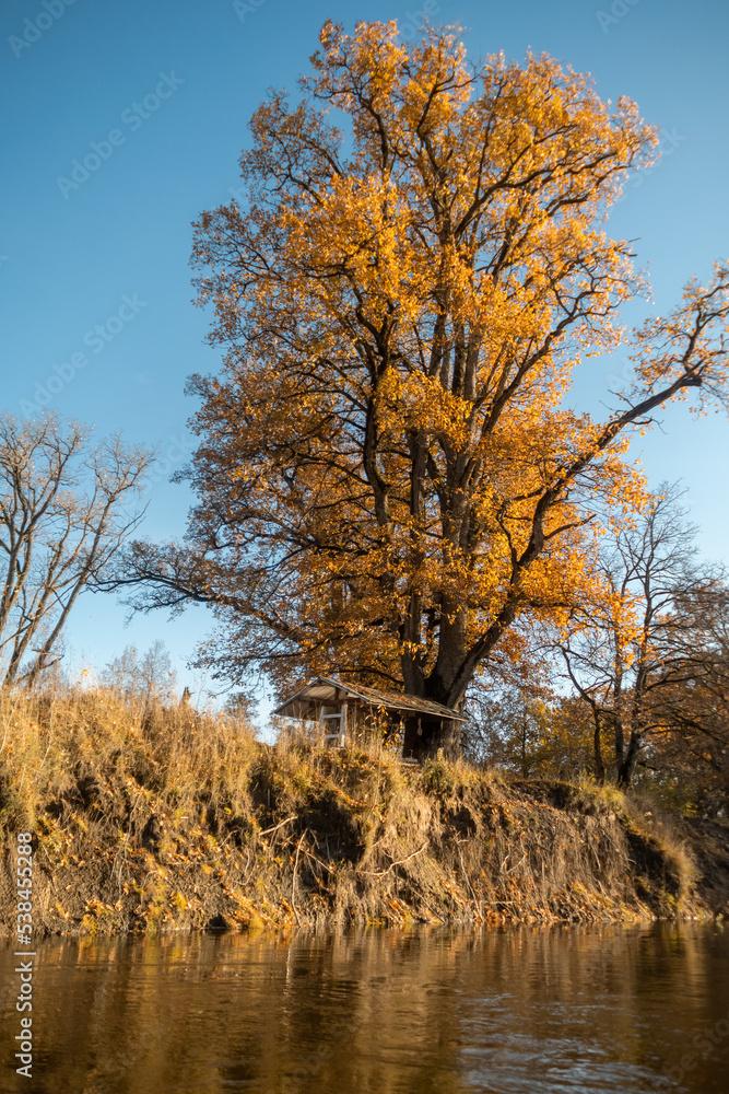 Autumn landscape. House on the lake. Yellow trees near the forest river at sunset. Landscape in warm colors of sunlight Autumn landscape. House on the lake. Yellow trees near the forest river at sunset. Landscape in warm colors of sunlight