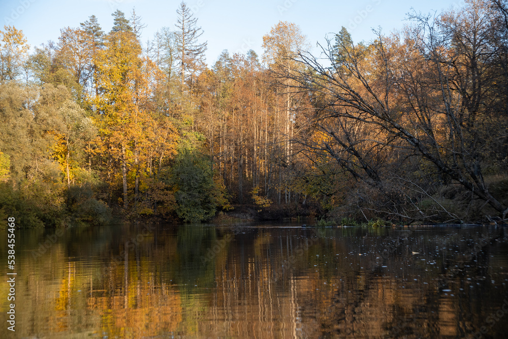 Fototapeta premium Autumn landscape. Yellow trees on the bank of a forest river at sunset. Landscape in warm colors of sunlight
