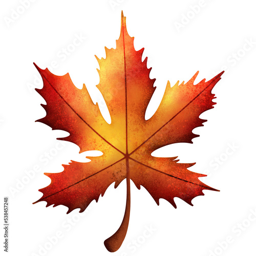 illustrated colorful fall leaf