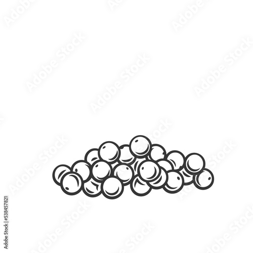 Millet cereal crop grain, outline icon vector illustration. Monochrome drawn ripe seeds millet