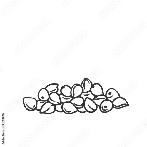 Sorghum cereal crop outline, icon vector illustration. Monochrome drawn sorgo grain seeds