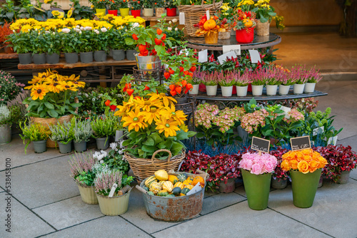 Obraz na plátně Street flower shop