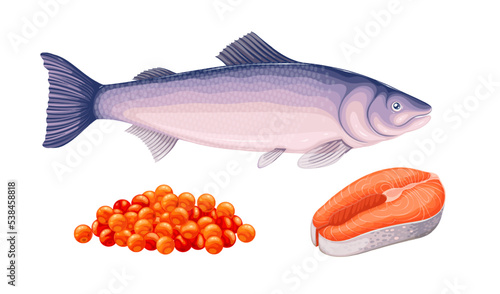 Salmon food products set vector illustration. Cartoon isolated whole fish, cut in salmon raw steak and pile of delicious red caviar, ingredients for cooking gourmet meals in restaurant and home