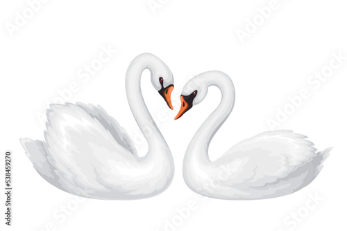 Fototapeta Naklejka Na Ścianę i Meble -  Couple of swans vector illustration. Cartoon isolated two beautiful white birds swim together, cute symbol of love and romance, romantic tenderness and wedding, graceful family of swans in nature