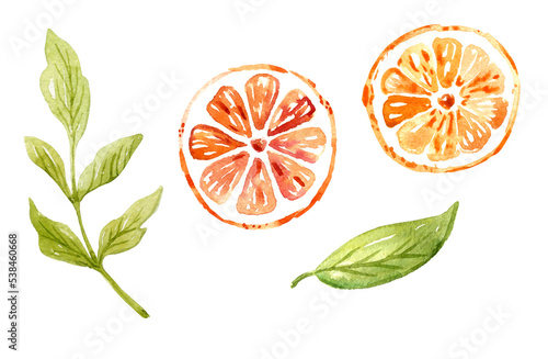 Watercolor circle orange and green leaves. Hand-drawn illustration isolated on the white background