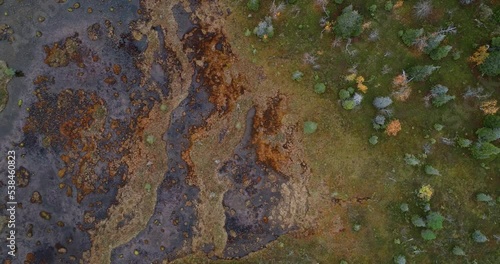 Wallpaper Mural Aerial of a wetland next to a taiga forest in an autumnal Riisitunturi National Park, Northern Finland	 Torontodigital.ca