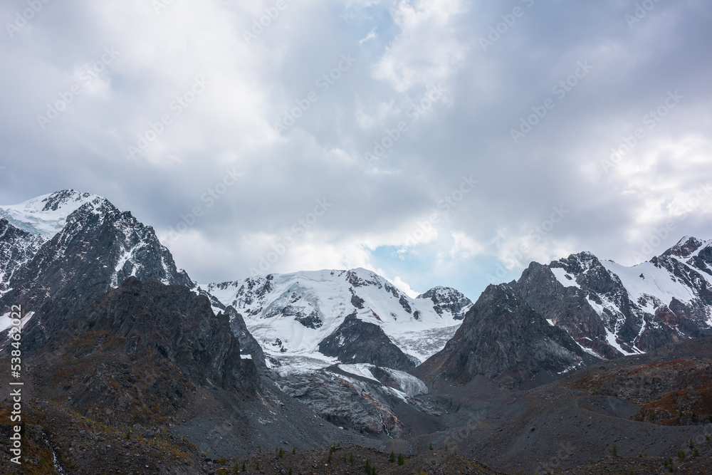 Dramatic view from hills with trees to large snow mountain range with glacier and icefall in cloudy sky. High snowy mountains under rainy clouds. Fading autumn colors in mountains in overcast weather.