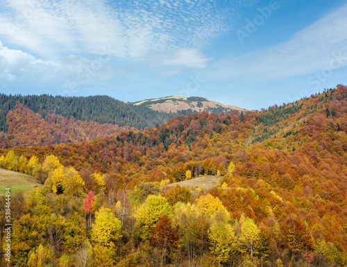 Autumn morning Carpathian Mountains calm picturesque scene  Ukraine. Peaceful traveling  seasonal  nature and countryside beauty concept scene.