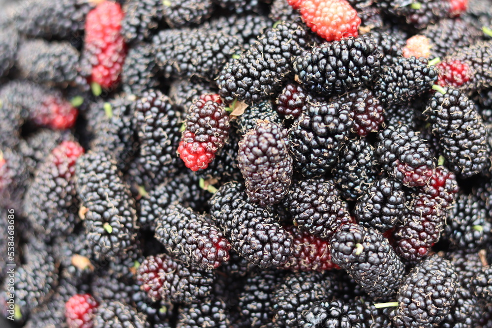 Fresh and juicy ripe blackberry. Purple tropical fruit. Fresh and juicy ripe blackberry. Purple tropical fruit.