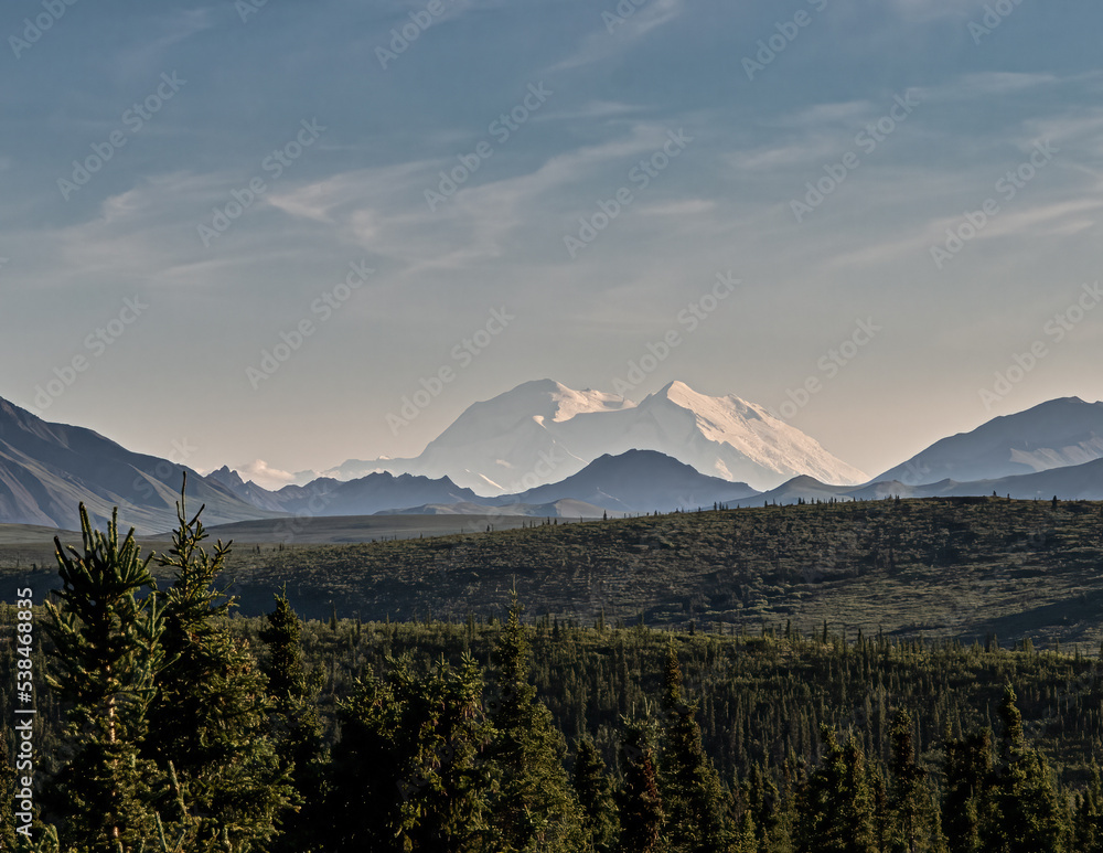 Fototapeta premium Mount Denali in full rare blue sky.