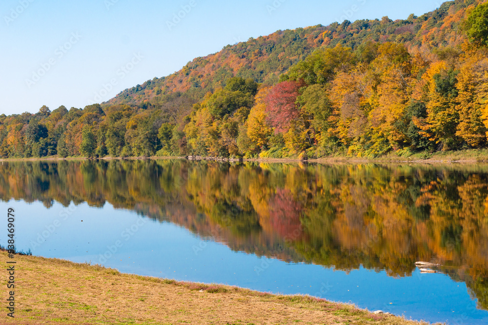 River and forest in autumn with fall foliage. River and forest in autumn with fall foliage.