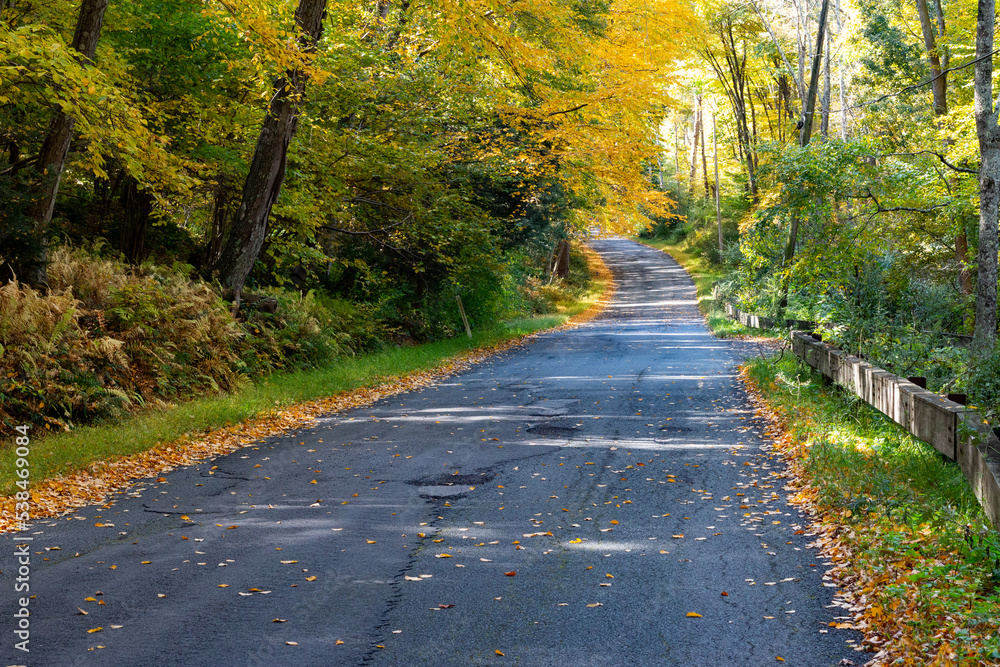 Road through woods with autumn foliage. Road through woods with autumn foliage.