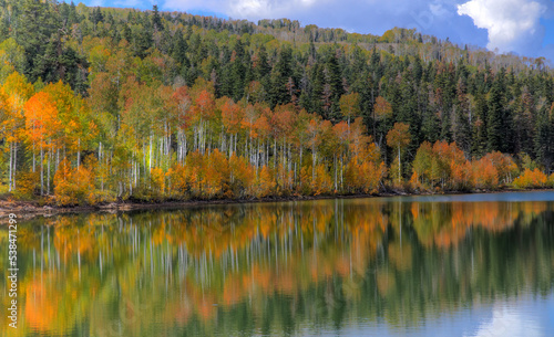 Fototapeta Naklejka Na Ścianę i Meble -  Kolob Autumn Reflection