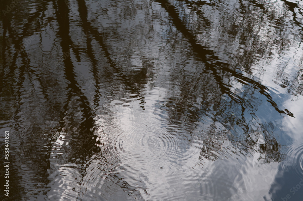 reflection of trees and sky on the surface of water reflection of trees and sky on the surface of water