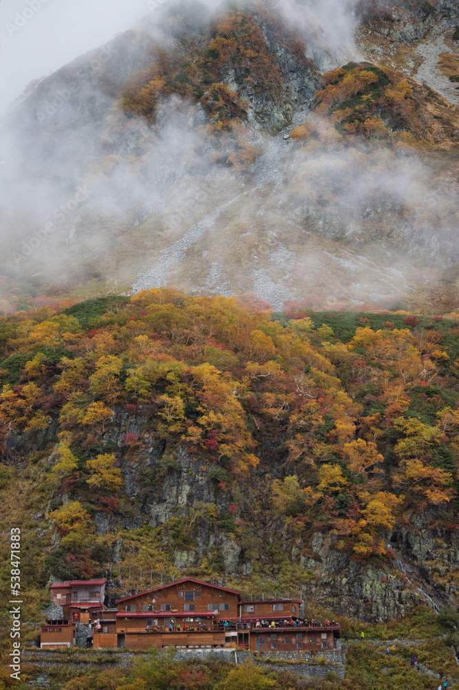 Fototapeta premium 紅葉