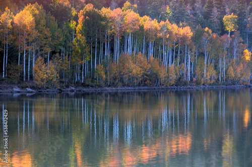 Kolob Reservoir Reflection