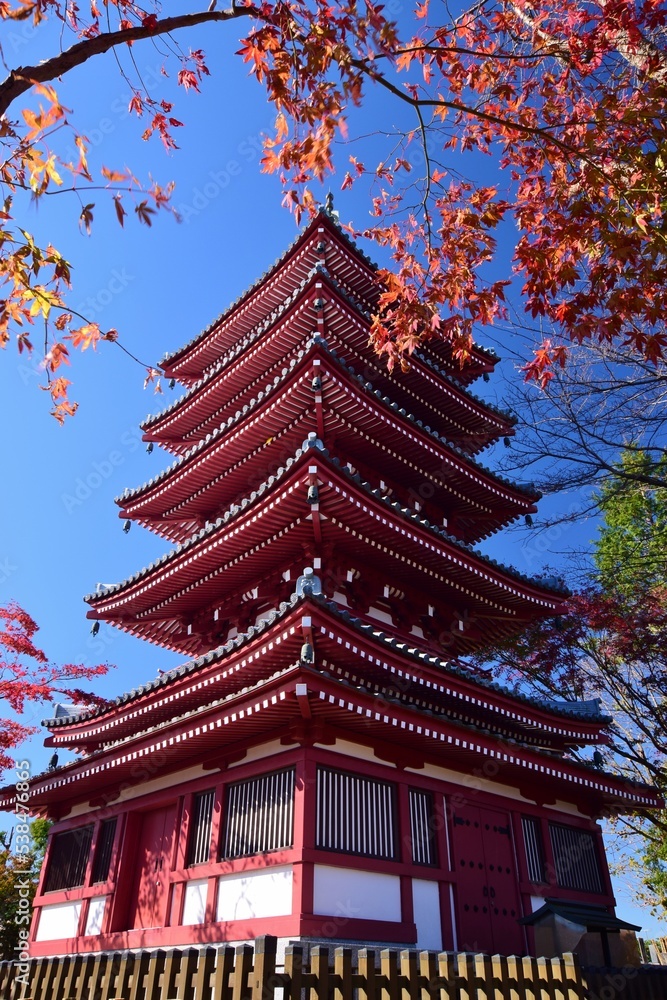 紅葉の長谷山　本土寺