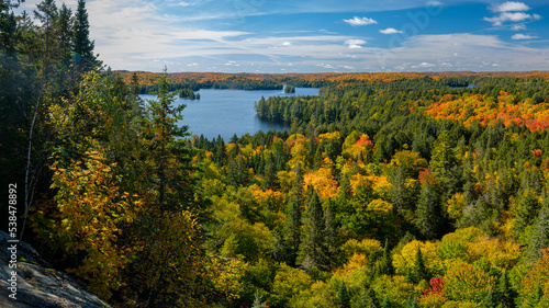 Colorful fall in Algonquin park - red yellow and green foliage