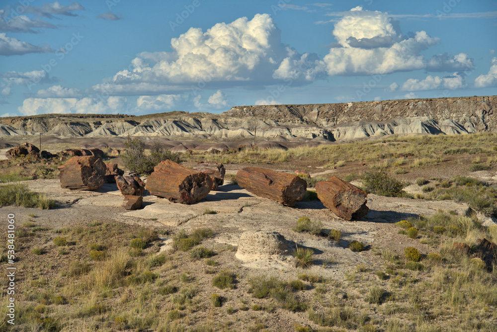 Petrified Forest National Park in Arizona USA Petrified Forest National Park in Arizona USA
