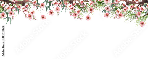 水彩で描いた松竹梅のフレームデコレーション Watercolor floral frame composition with pine, bamboo and plum trees