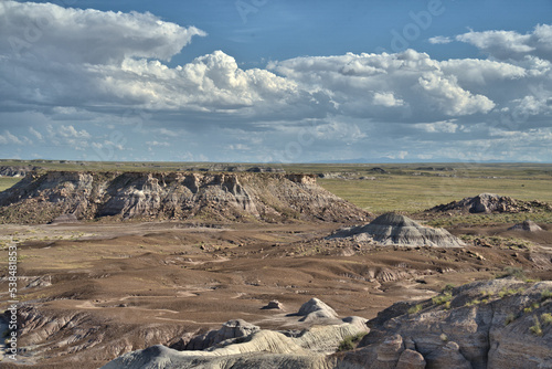 Petrified Forest National Park in Arizona USA