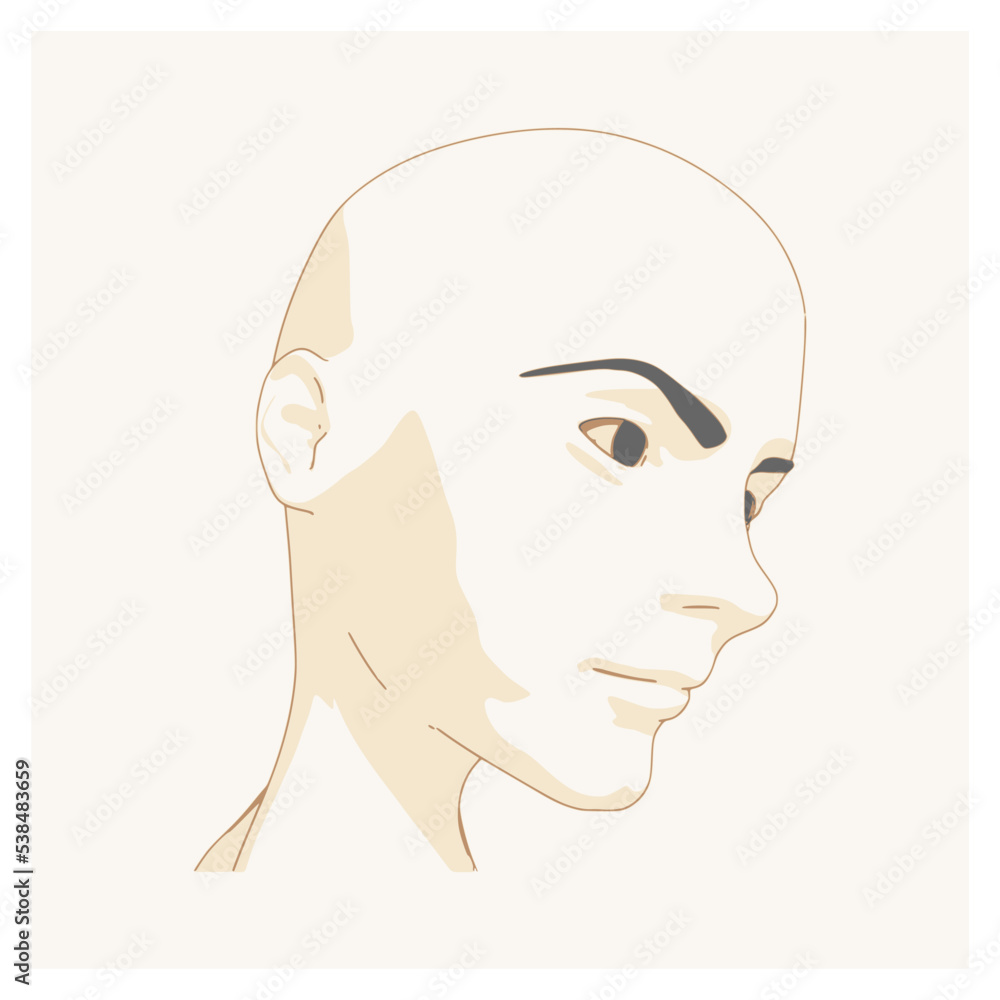Young woman face front view. Elegant silhouette of a female head. Young woman face front view. Elegant silhouette of a female head.