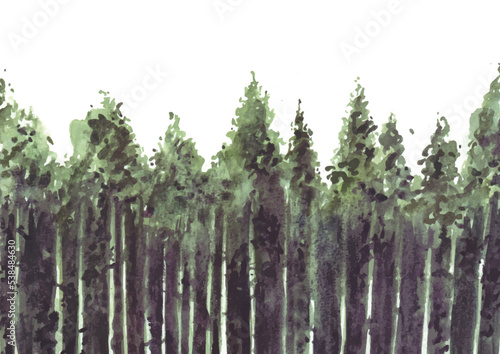 Pine tree forest watercolor