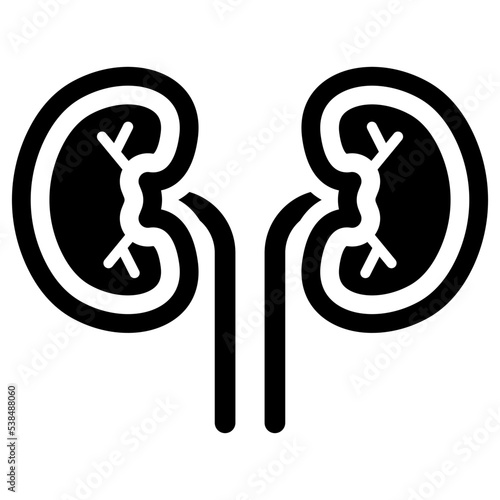 Human kidneys icon