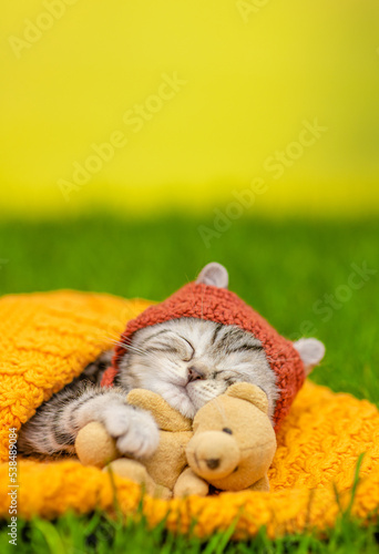 Fototapeta Naklejka Na Ścianę i Meble -  Cute kitten wearing warm hat hugs favorite toy bear and sleeps on plaid on green summer grass. Empty space for text