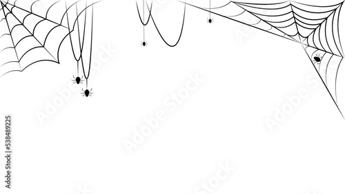 spider web vector for Halloween