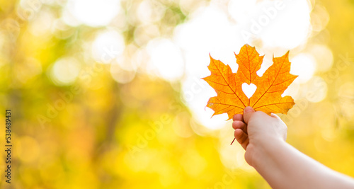 Person holds dry golden autumn leaf with hole heart shape. Ray of the sun breaks through a heart cut out in a leaf. Yellow Autumn leaf of sunset sunlight with a cut out heart. Autumn season