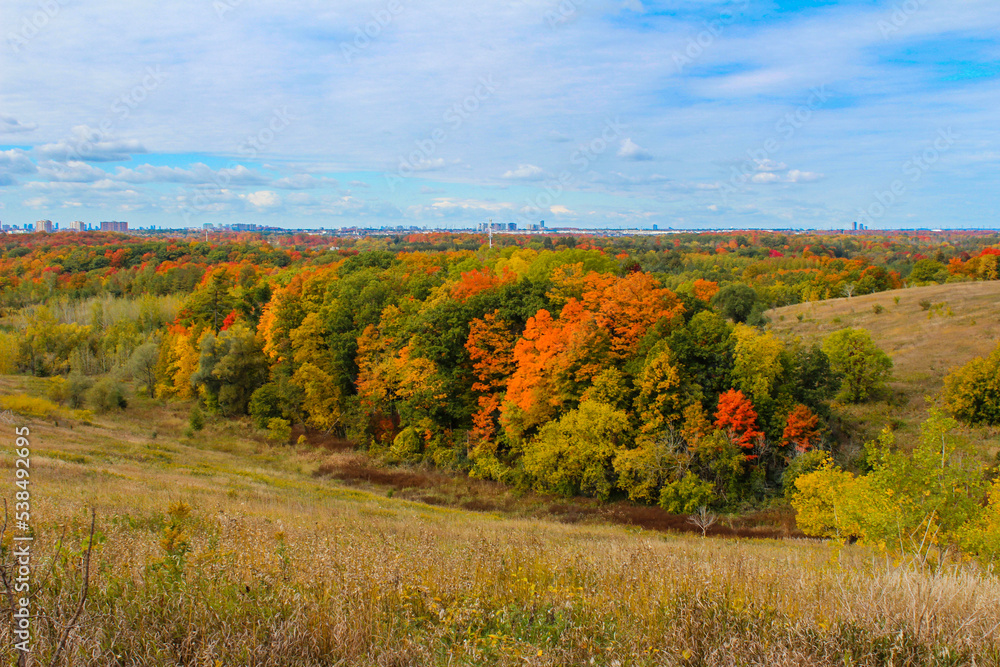 Beare Hill Park overlooking Rouge National Urban Park with colourful autumn leaves