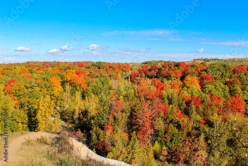 Colourful lookout overlooking forested valley in autumn