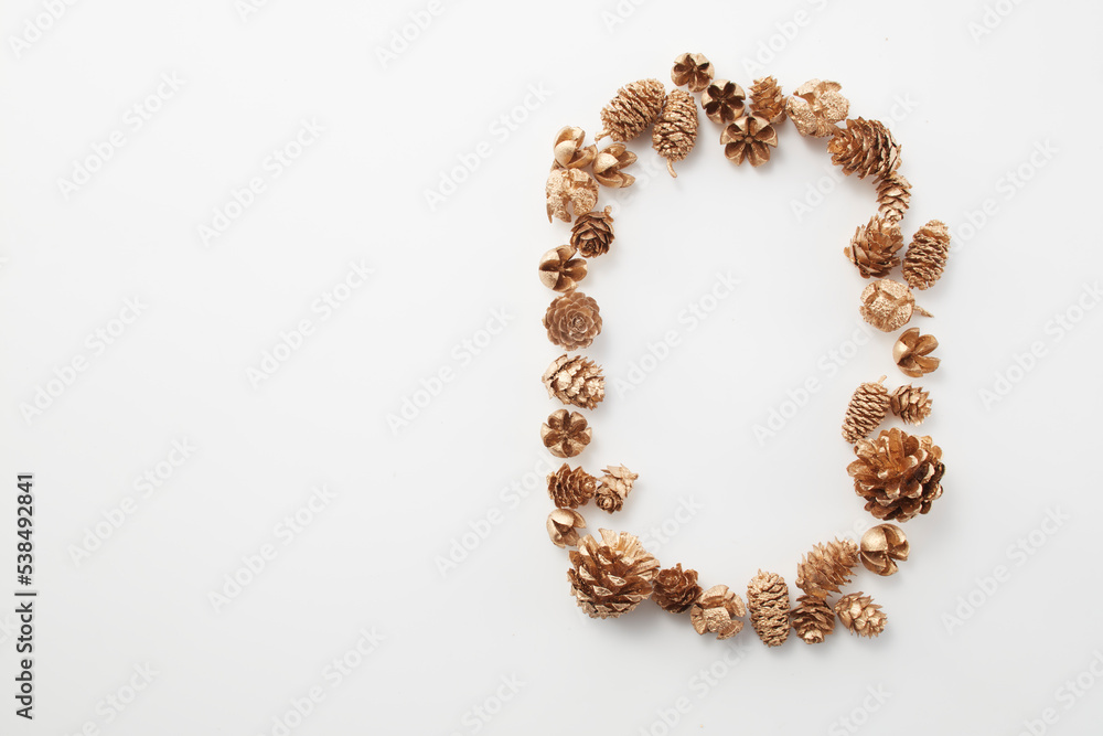 pinecone autumn Dried flower 松ぼっくり 自然 白背景 秋 pinecone autumn Dried flower 松ぼっくり 自然 白背景 秋