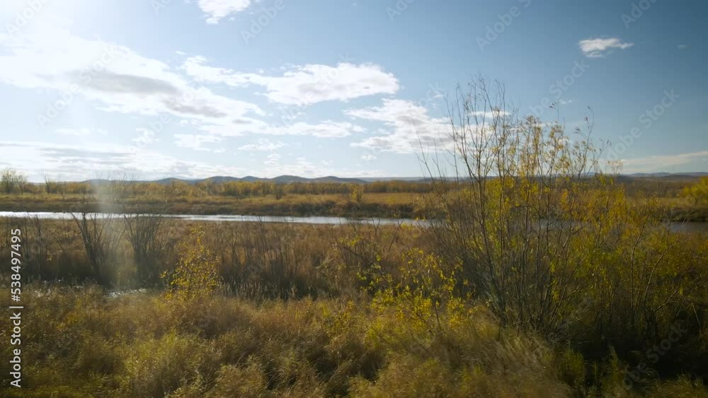 Aerial around, parallel view of a tundra bush on islands next to the river in sunny gold-autumn day with clouds, sunbeam Aerial around, parallel view of a tundra bush on islands next to the river in sunny gold-autumn day with clouds, sunbeam