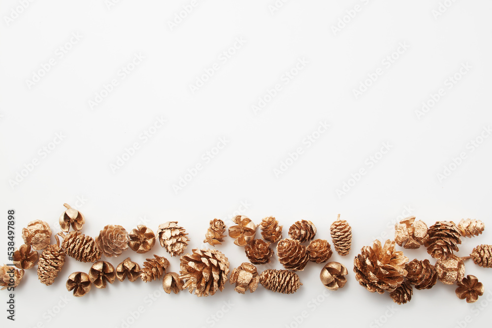 pinecone autumn Dried flower 松ぼっくり 自然 白背景 秋 pinecone autumn Dried flower 松ぼっくり 自然 白背景 秋