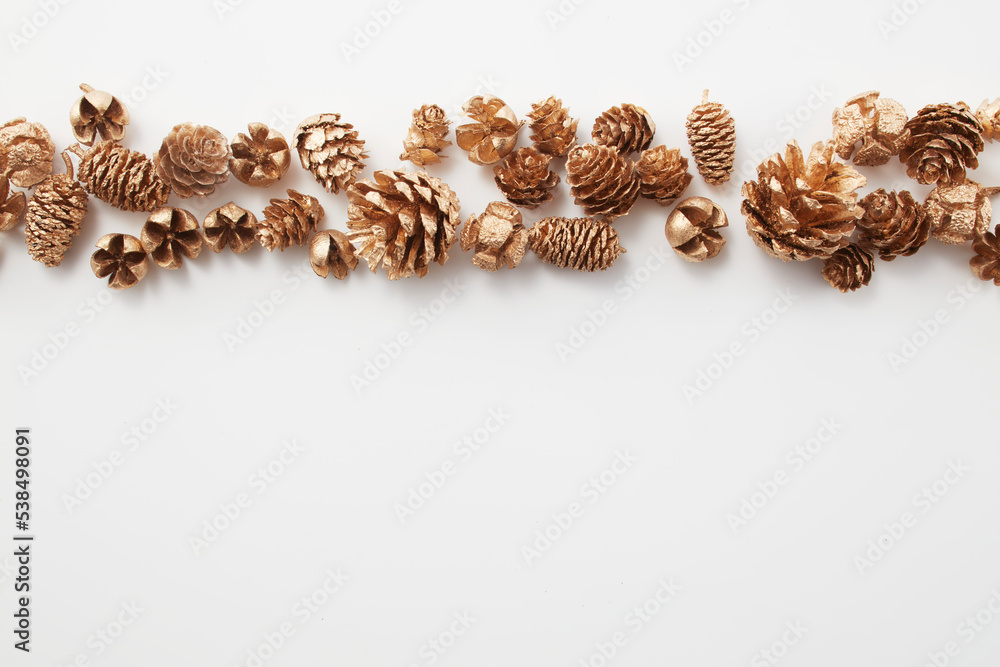 pinecone autumn Dried flower 松ぼっくり 自然 白背景 秋 pinecone autumn Dried flower 松ぼっくり 自然 白背景 秋