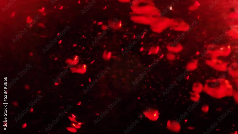 Blood Flows Blood Flows