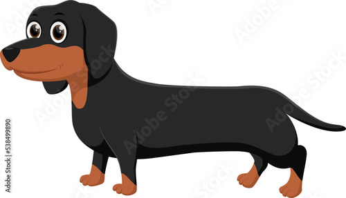 Cartoon Cute dachshund dog isolated on white 