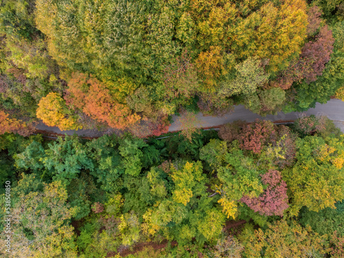 Autumn view from above