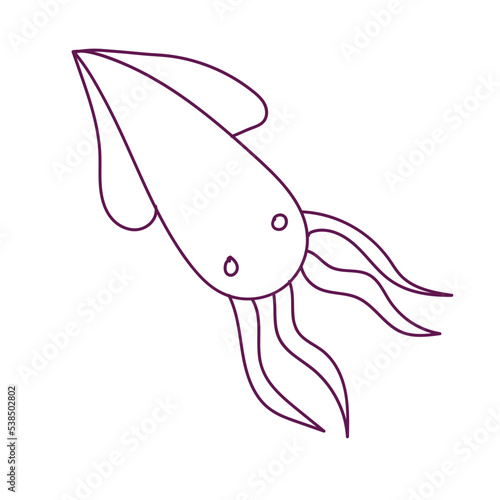 seahorses and seawater squid