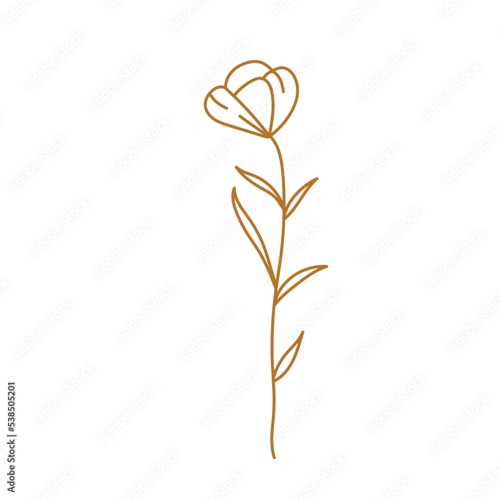 golden aesthetic botanical flower plant