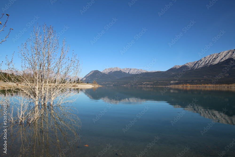 reflection in the lake