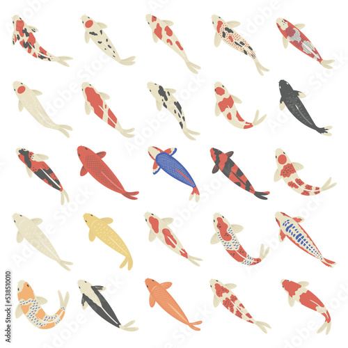 vector illustration set of top view Koi fish.