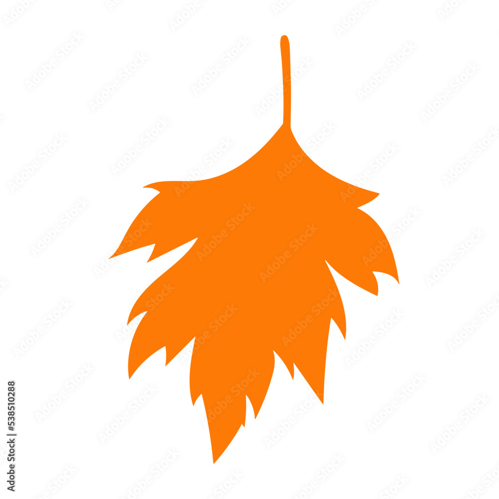 autumn foliage leaves summer autumn foliage leaves summer