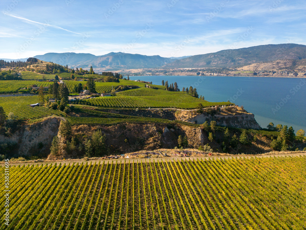 Fototapeta premium Naramata Bench Winery Vineyard Penticton Okanagan Valley