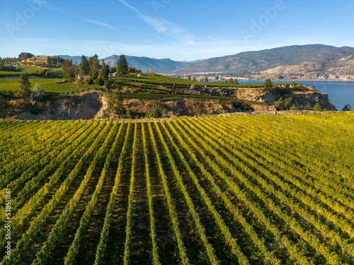 Naramata Bench Winery Vineyard Penticton Okanagan Valley photo